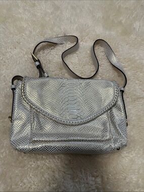Aimee Kerstenberg Metallic Snake-Embossed Crossbody Bag in Silver